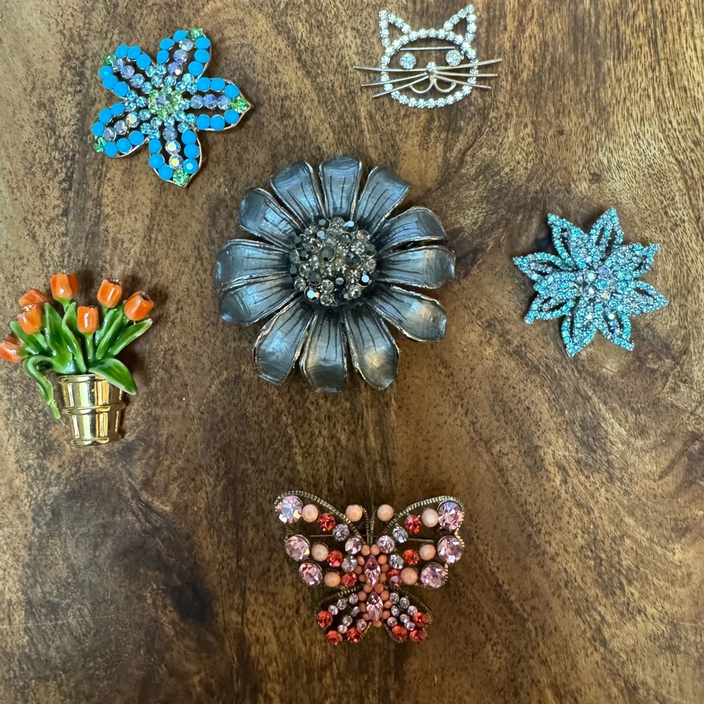 Six Preowned Unbranded Costume Jewelry Pins/Brooches